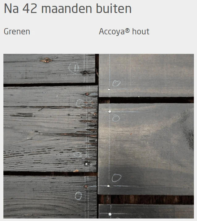 coaten accoya